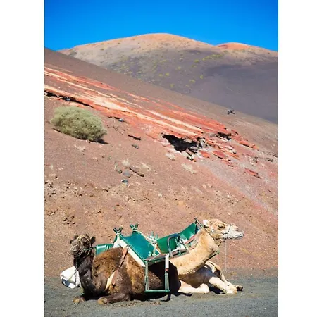 Palmira * Puerto del Carmen (Lanzarote)